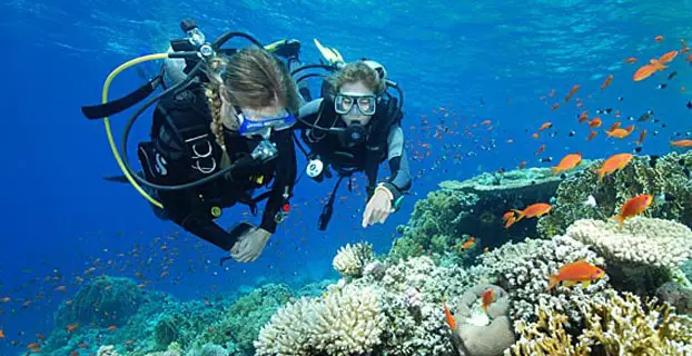 tempat bulan madu romantis, rekomendasi tempat bulan madu di indonesia, tempat honeymoon romantis di indonesia, keindahan bawah laut pulau moyo