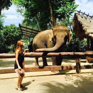 √ Bali Zoo Park, Serunya Berlibur Sambil Belajar | Wisatalova