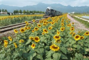 wisata korea selatan, taman kereta api tua di korea