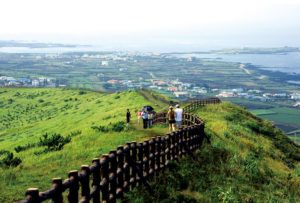wisata korea selatan, pulau udo korea, udo island