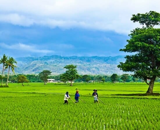 Desa Cibarengkok dan Desa Sumur Batu, Lokasi Baru Syuting Dunia Terbalik RCTI