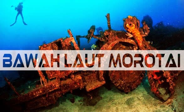 Keindahan Alam Bawah Laut di Objek Wisata Pulau Morotai Maluku Utara