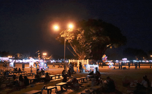 Tempat Wisata Alun-alun Kidul Yogyakarta Malam hari