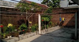 Lokasi Kost Putra Its Surabaya