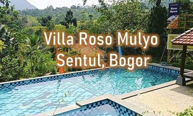 Tipe Kamar Villa Roso Mulyo