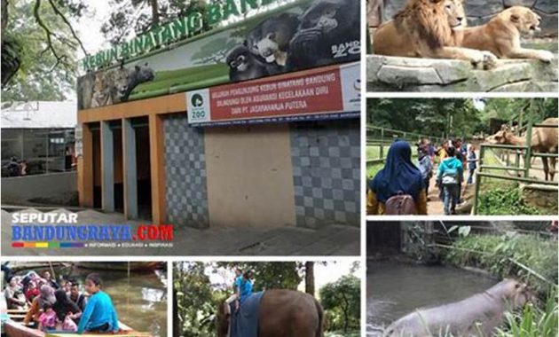 Beli Tiket Kebun Binatang Bandung Online