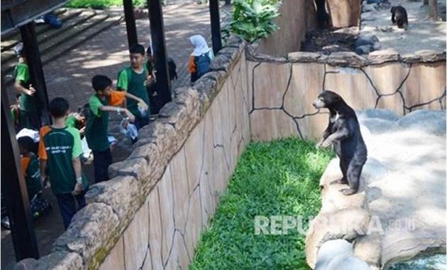 Panduan Berkunjung Ke Kebun Binatang Bandung