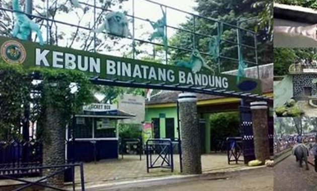 Keamanan Di Kebun Binatang Bandung