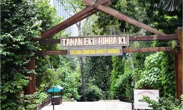 Hutan Simpan Bukit Nanas Kuala Lumpur