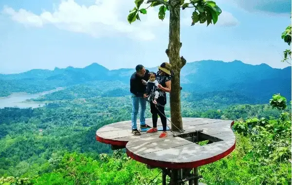 wisata kalibiru, menara pohon kalibiru, pemandangan dari atas puncak menara pandang kalibiru, wisata alam kalibiru