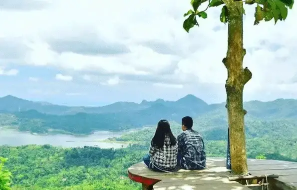 wisata kalibiru, menara pohon kalibiru, pemandangan dari atas puncak menara pandang kalibiru, wisata alam kalibiru