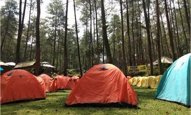 Tempat Camping Di Batu Malang