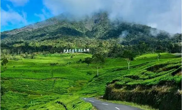 Wisata Pagar Alam