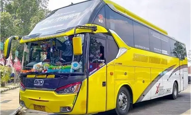 Gambar Bus Sudiro Tungga Jaya