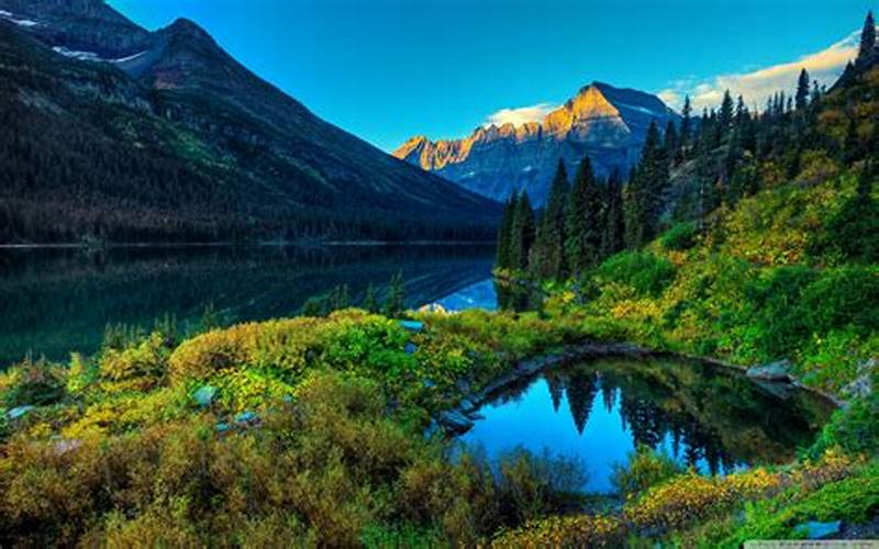 √ Apa Yang Dimaksud Dengan Etiket Gambar: Panduan Lengkap | Wisatalova