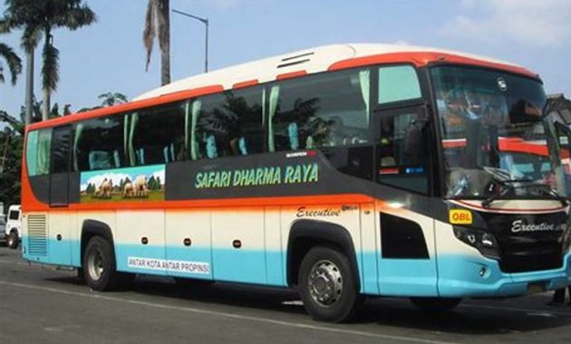 Gambar Bus Safari Dharma Raya