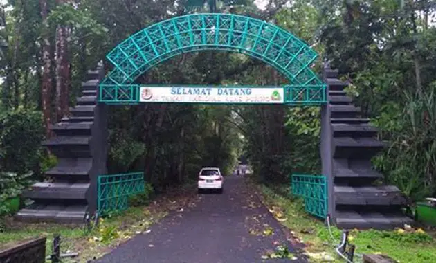 Taman Nasional Alas Purwo