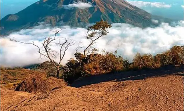 Gunung Merbabu