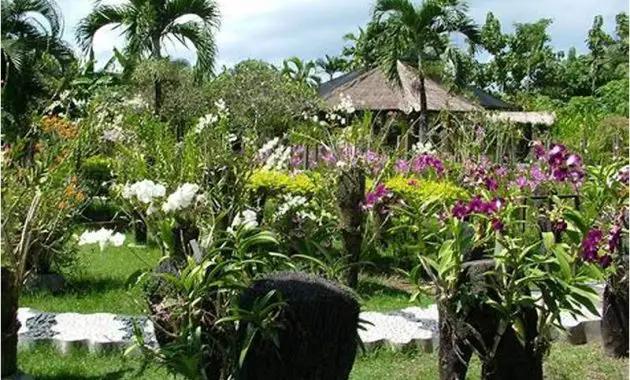 Bali Orchid Garden