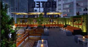 Rooftop Bar