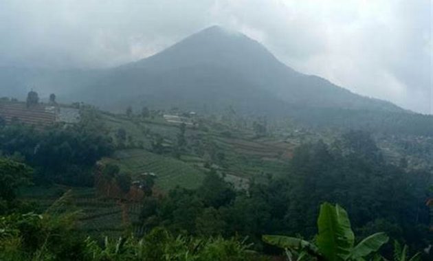 Gunung Bukit Tunggul