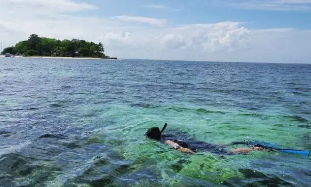snorkeling di pulau samalona, pulau samalona makassar, pemandangan bawah laut pulau samalona