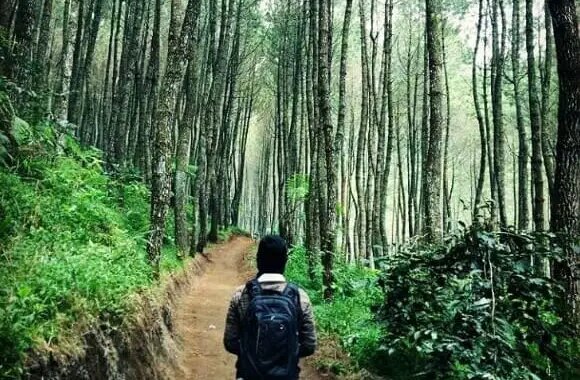 hutan pinus curug keraton, curug keraton cibodas, curug bella rosa cibodas, curug ratu cibodas, curug keraton lembang